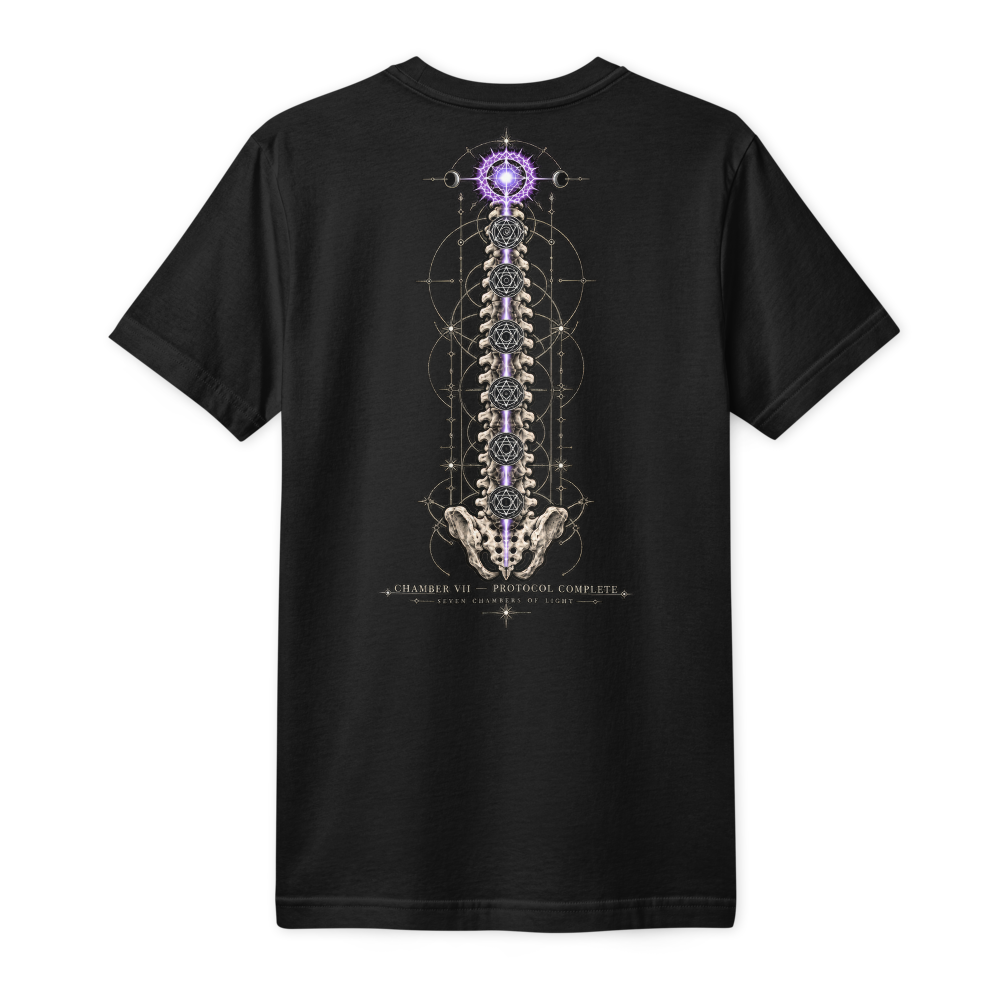 Back of the same black tee: a spine of seven chambers down the middle, the top lit violet, Chamber VII of the Chakra series.