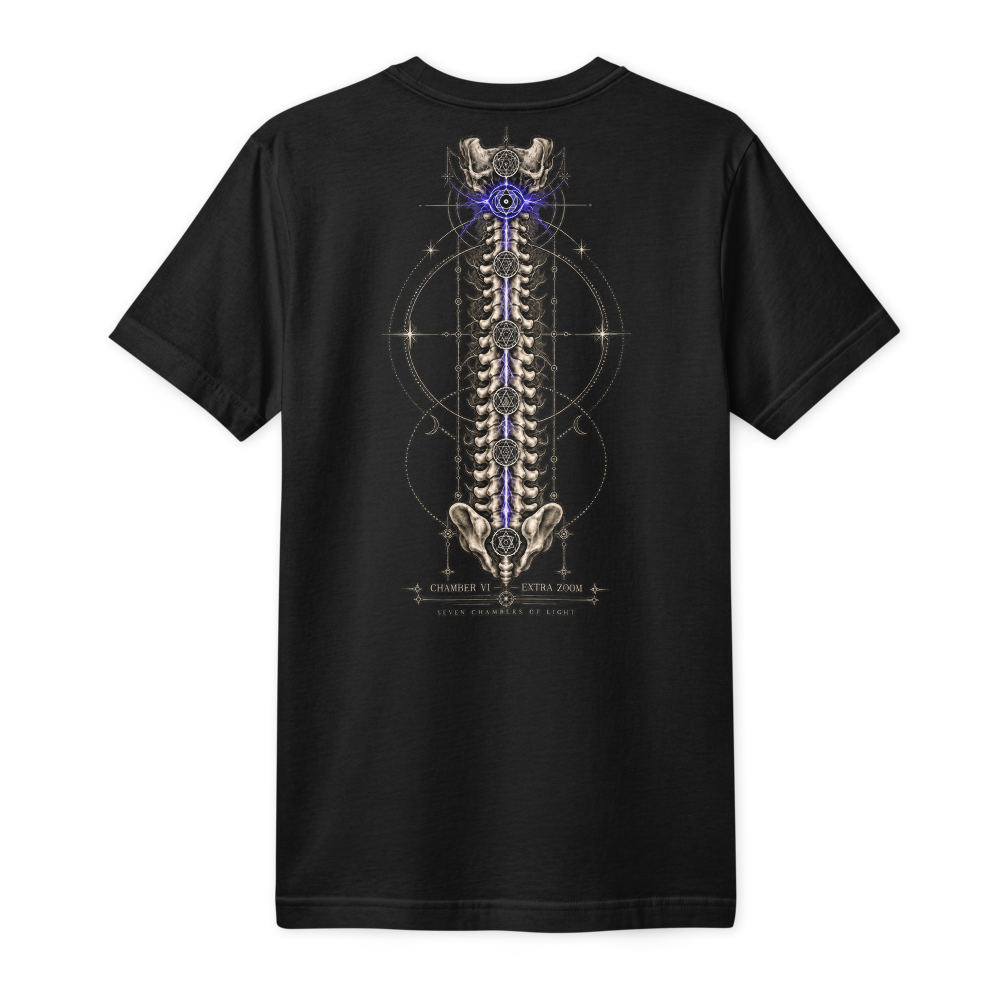 Back of the same black tee: a spine of seven chambers down the middle, the sixth from the base lit violet, Chamber VI of the Chakra series.