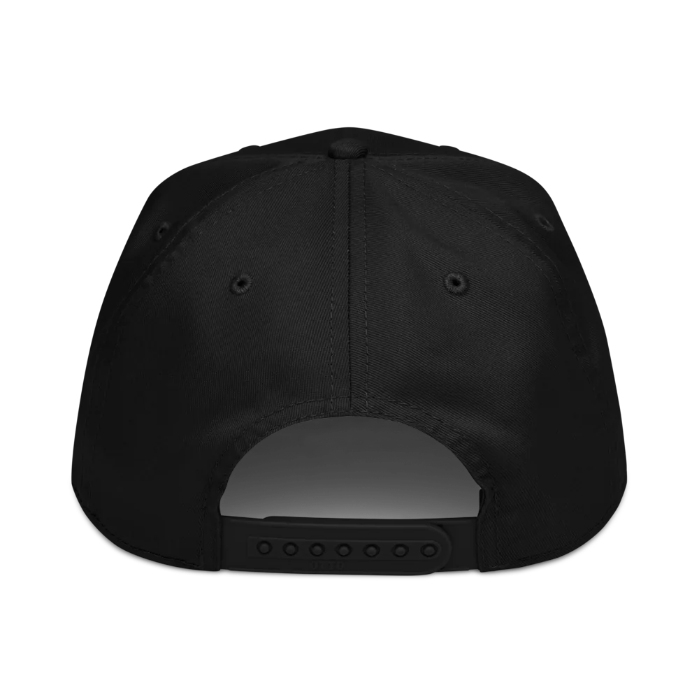 Back of the same cap: plain black, with a snapback strap.