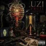 Cover art for Uzi Fruit